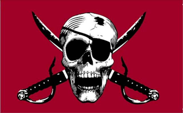 Crimson Pirate - Whip Flag